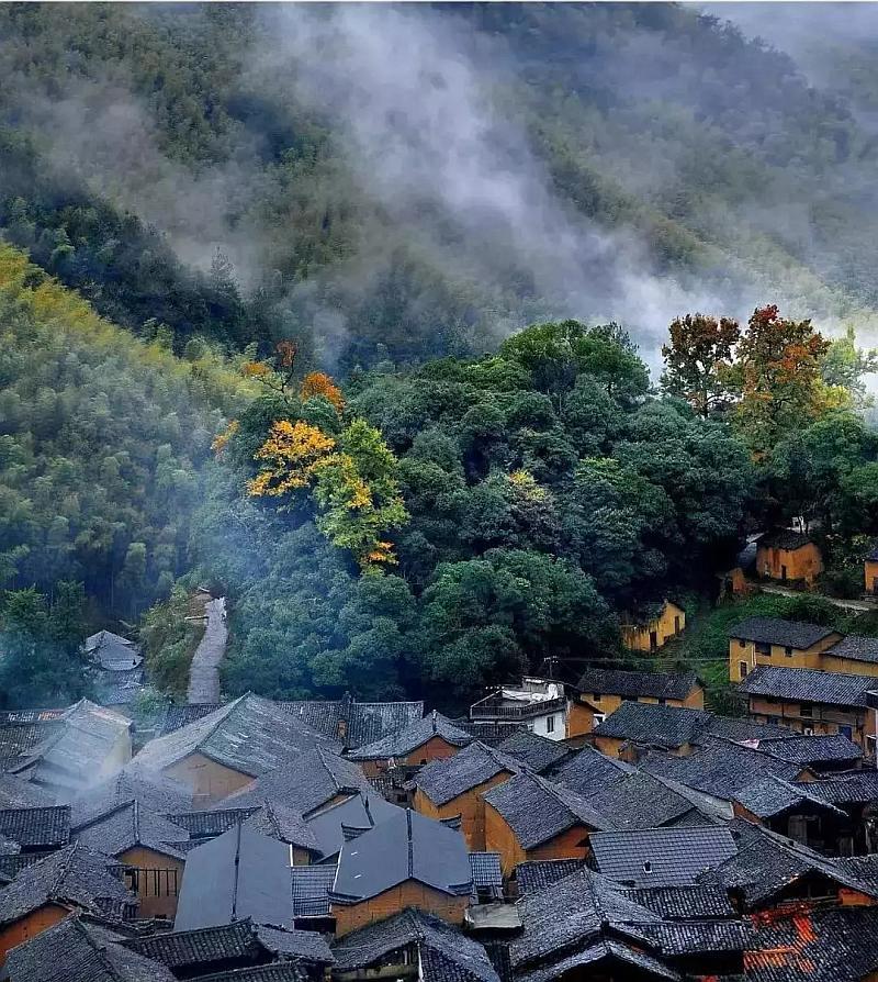 雪天路滑，女子开车刹车紧张程度100%，网友:前边大哥方向盘都快捏碎了