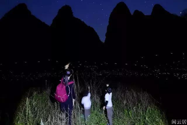 拯救者