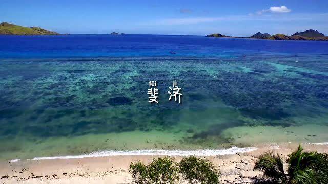 去年共立案侦办走私等案件4959起 “套代购”占四成