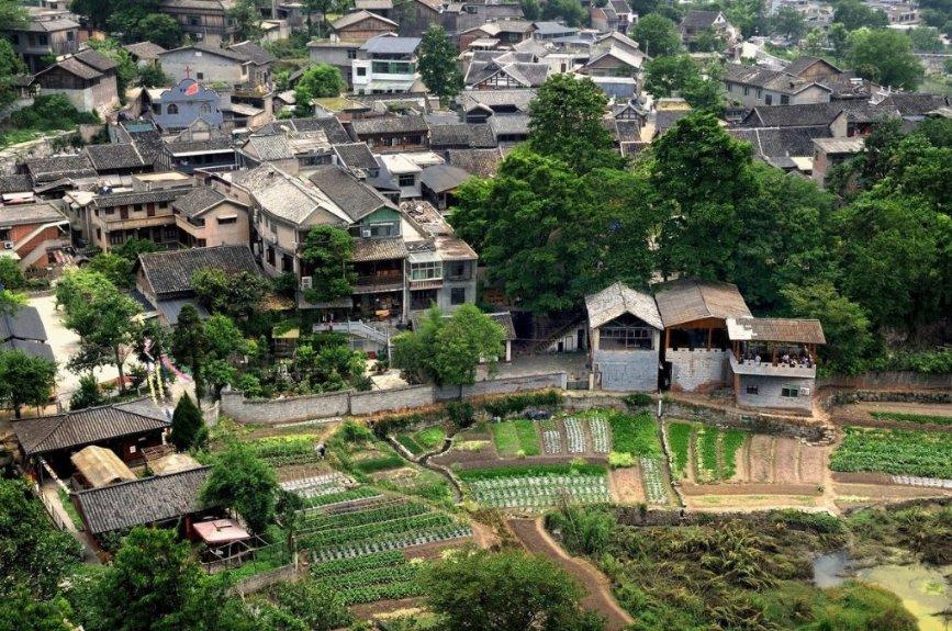 全民烧脑3去广告版